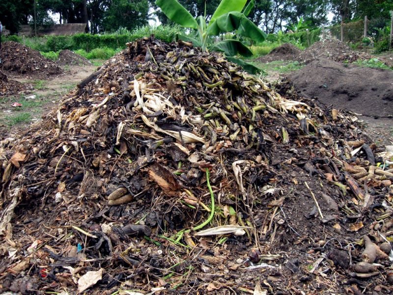 Des agriculteurs formés à la fabrication du compost